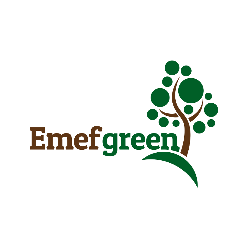 Logo - Emef Green