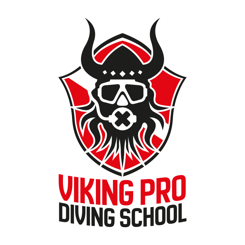 Logo - Viking Pro